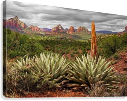 Storm over Sedona  Canvas Print