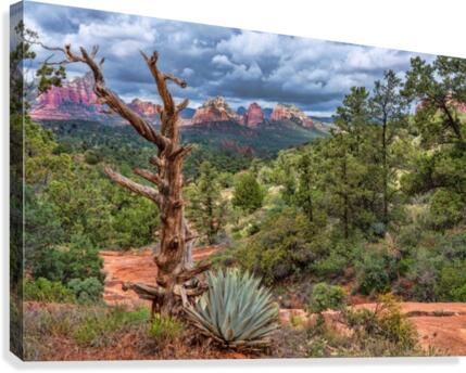 Sedona Overlook  Canvas Print