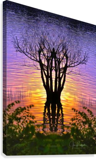 Lakeside sun on tree Canvas print