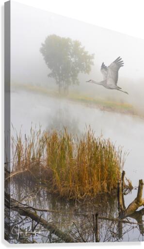 Crane on the Wing in Fog  Impression sur toile