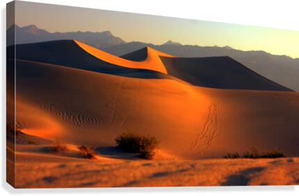 Mesquite Dunes at Dusk  Impression sur toile