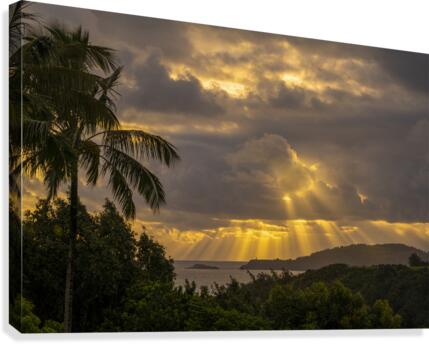 Good Morning Sunshine  Canvas Print