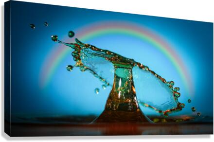 Drops of Color  Canvas Print