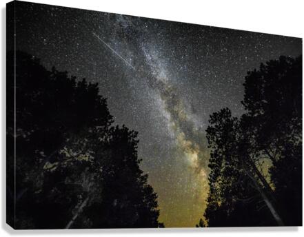 Speeding trails of the Milky Way  Canvas Print