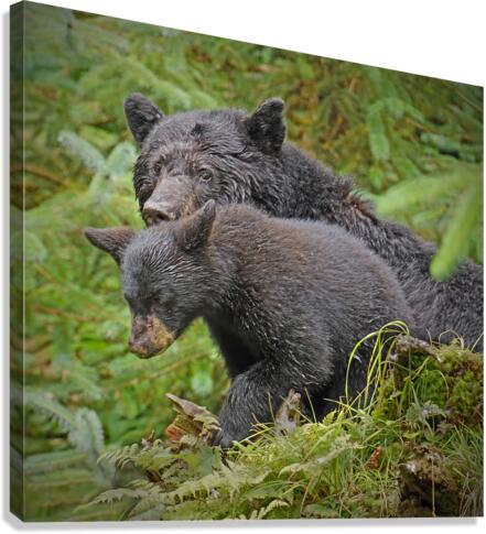 Mom and Cub Canvas Print