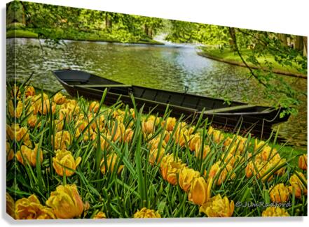 Kuekenhof Gardens Holland  Canvas Print