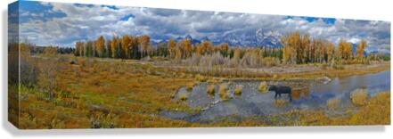 The Snake River near the Tetons Canvas Print