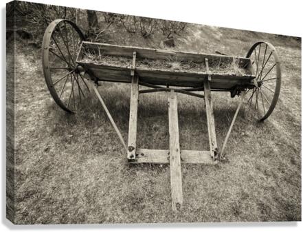 Farm seed planter  Canvas Print