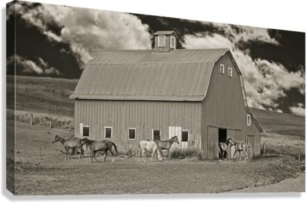 Washington horse barn  Impression sur toile