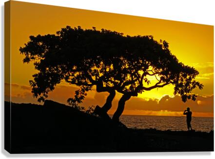 Sunset by Kona  Canvas Print