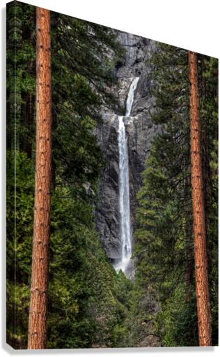  Yosemite Lower Falls Canvas Print