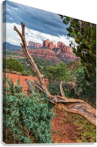 Scenic Sedona Canvas Print
