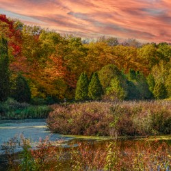 Minnesota Fall Waters