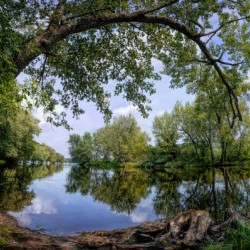 Calming Waters