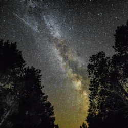 Speeding trails of the Milky Way
