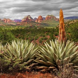 Storm over Sedona