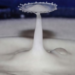 Drop of Milk
