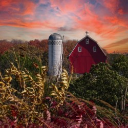 Burning Barn of Autumn