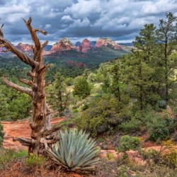 Sedona Overlook