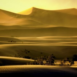 Mesquite Sand Dunes