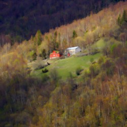 Farm on fjord Norway