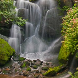 Water Falls at MnArboretum