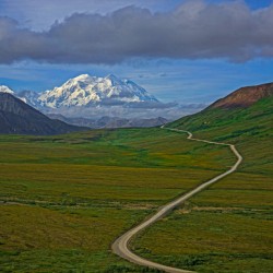 Denali park road