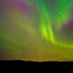 Northern Lights