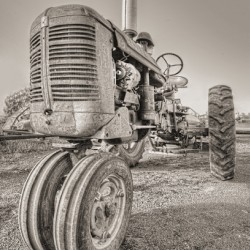 Farmall tractor