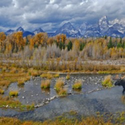 The Snake River near the Tetons