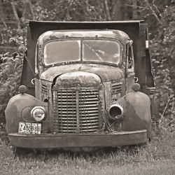 International Harvester pickup 
