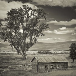 Washington farm plot