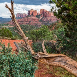 Scenic Sedona