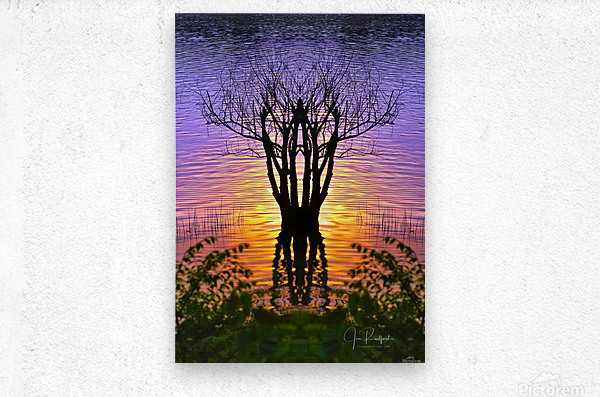 Lakeside sun on tree  Metal print