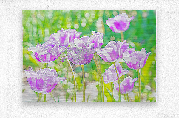 Purple tulip fantasy  Metal print