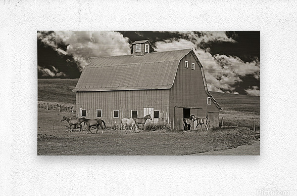 Washington horse barn  Metal print