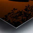 Egret Eclipse Metal print
