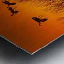 Dawn patrol over the Platte Metal print