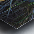 Heron in the morning Metal print