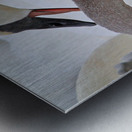 Pecking Trumpets Metal print