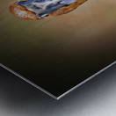 Foraging in the mud Metal print