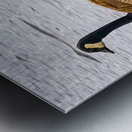 Swimming lessons Metal print