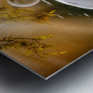 Egret on the hunt Metal print