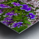 Spring Flower Mix Metal print