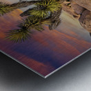 Joshua tree landscape Metal print