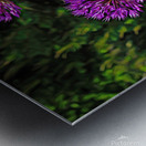 Flowers of color Metal print