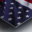 Proud Bird Metal print