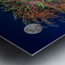 Fireworks display  Metal print