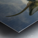 Feed me   Metal print