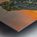 Owl standing watch Metal print